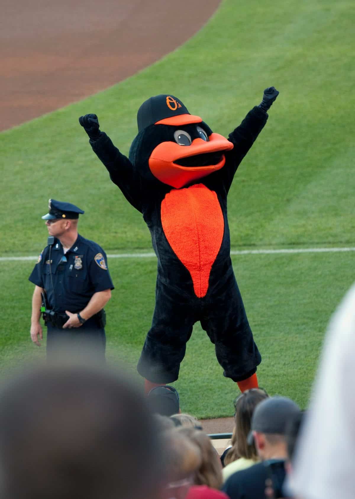 The Oriole Bird mascot celebrating with arms raised at Camden Yards